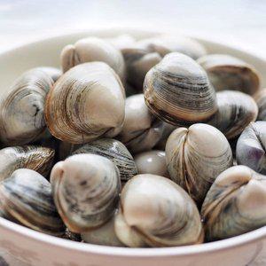[기타][남해바다] 싱싱한 동죽 조개 1kg