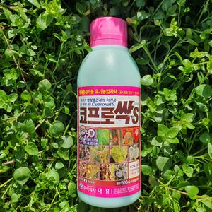 농작물 병균 곰팡이 피해 강력하고 안전한 코프로싹S 500ml