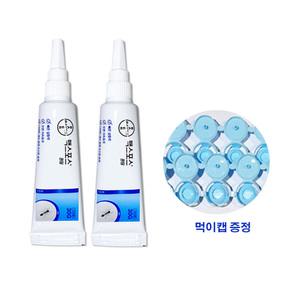 맥스포스 퀀텀 30g X 2개+ 먹이캡 10개 개미약 의약외품
