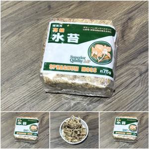 수태 건조 압축 넝클 물이끼 토피어리 난 원예 재료