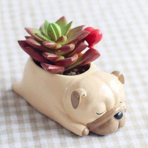 루고 인테리어 미니 다육이 화분 잠자는 강아지 퍼그