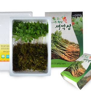 명절선물 새싹삼 3년근20+선물상자