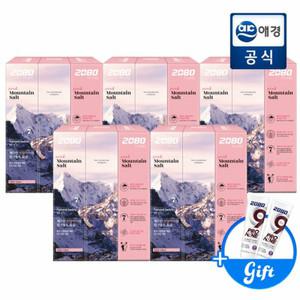 2080 퓨어 마운틴 솔트 치약 핑크민트향 120g x 15개 (GIFT 지급)