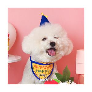 파인클럽 어썸 클럽 꼬깔모자 케이프 세트 강아지 생일 파티 용품
