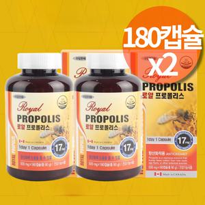 로얄 플로폴리스 항산화영양제 면역력높이는 면역력증가 캐나다 프로폴리스 만성 잇몸 입안 염증 약1년분