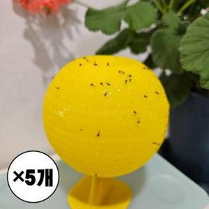 드라마벨류 초파리 날파리트랩 끈끈이공 벌레잡는공, 30g, 5세트 one option