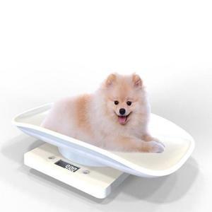 MZ_아기 고양이 강아지 저울 체중계(소형)