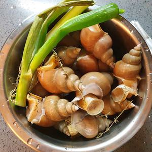 포항 구룡포 백고동 특대 1KG (8-13미내외 )