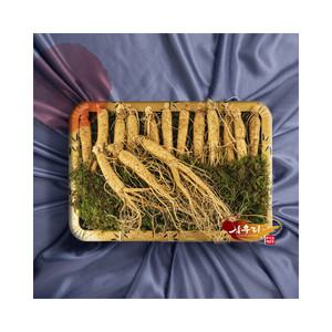 [인삼] 삼우리 6년근 풍기 수삼 500g / 15-20뿌리