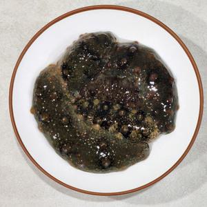 직접 수매 당일 수매 국내산 생물 통통 참 해삼 500g (푸드)
