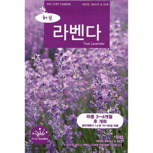 2025 씨앗 허브 라벤다 (WFGUM0R)