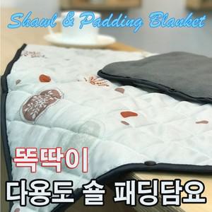 숄겸 패딩담요 무릎담요 차량용 치마담요 품 레저용품 이신우담요 숄담요 베개쿠션