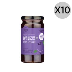 복음자리 99퍼 진한 생생과일잼 블루베리 370g X10
