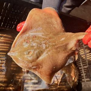 감칠맛 가득 연안 급냉 간재미 1kg (푸드)