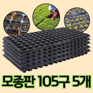 모종 트레이 모종판 육묘판 105구 5개 이식 고추 수박 상추 들깨 플라스틱화분 판세트