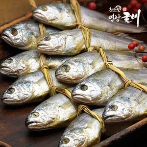 영광 장대굴비 4호(20미.1 400g내외)