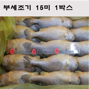 부세조기 구이용.제수용12 마리25-27cm