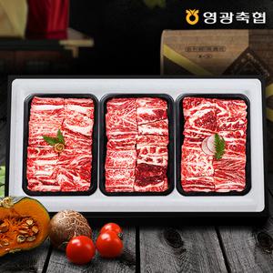 [롯데백화점]보섭이네푸드(식품) 1등급 영광축협 보리애 한우 갈비세트 2호 2.4kg