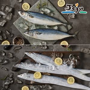 제주 갈치 고등어 선물세트 1.6kg(갈치2마리+고등어5마리)