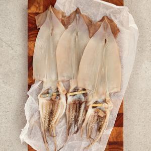 [롯데백화점]오초록 [오초록] 촉촉한 피데기 반건조 오징어 5미(450g-500g 내외)