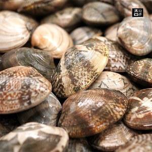 당일손질 바지락 1kg x 2팩 (총 2kg)