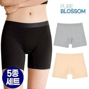 스벅 쿠폰 증정  [5종세트] 여성 코튼 플렉스 밴드 드로즈 사각 팬티/빅사이