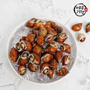 미각기행 세척 범고동 1kg(74미 내외)