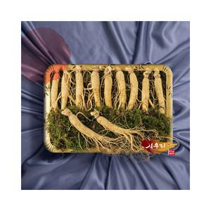 [인삼] 삼우리 6년근 풍기 수삼 500g / 10-13뿌리
