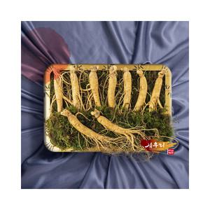 [인삼] 삼우리 6년근 풍기 수삼 500g / 8-10뿌리