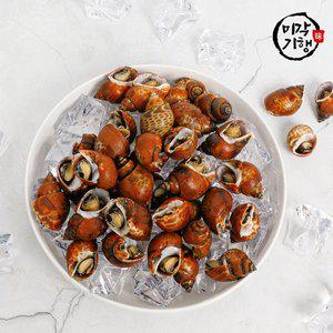 [미각기행] 세척 범고동 1kg(74미 내외)