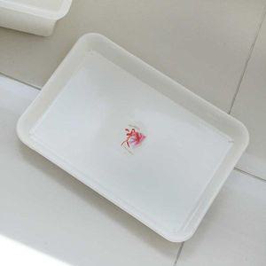 [기타]스토리 직사각화분받침 대
