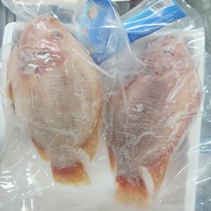 베트남 냉동 레드 틸라피아 1P (큰홍 800g이상) 5봉지