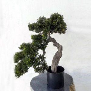 [기타]6P 50cm 조화나무 백송
