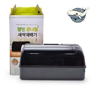 [기타]주방 홈가드닝 재배기 블랙 콩나물 새싹