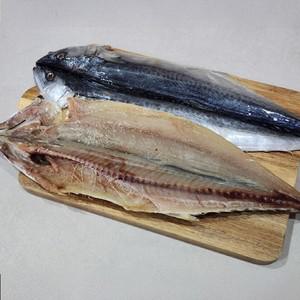 제주도 손질 삼치 1미 자연산