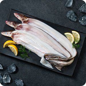 신선 통영 바다장어 붕장어 손질전 1kg 기준 (손질후 소 630g 내외) (대 약 400g) 당일손질  산들해담 M