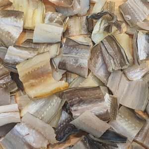 바다장어 반건조 500g 말린 생선 아나고