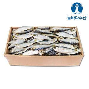국물 육수용 디포리 1kg 최상급 남해 통영 햇 밴댕이 국멸치 고노리 대멸치 한박스