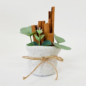 [문구티쳐] 데코 찰흙 계피 화분 만들기 1인세트 DIY 작품만들기 모기퇴치  (3중택1) 여름만들기