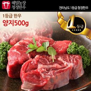 [롯데백화점]해밀농장 1등급 한우 해밀농장 양지 500g