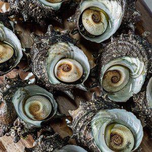 [기타][오늘의바다] 오독오독 손질 뿔소라 400g (손질전 2kg)