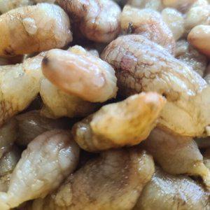 산지직송 통영 오만둥이 1kg