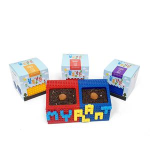 마이플랜트 DIY 블록가든 씨드볼 3종 씨앗 키우기 가드닝 키트 장난감 레고 화분