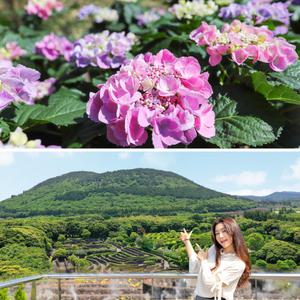 제주 휴애리+메이즈랜드 / 제주 관광지 가족여행