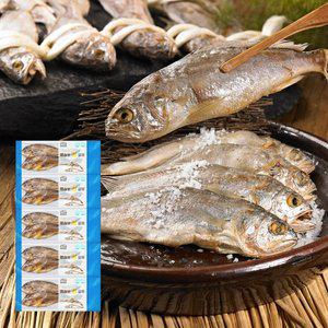 [바다성찬]영광법성포 진공굴비 80gx10미, 총800g