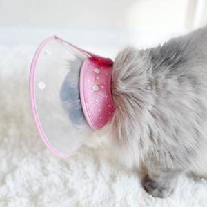 강아지 고양이 소형견 중형견 플라스틱 천 중성화 수술 상처 경량 넥카라