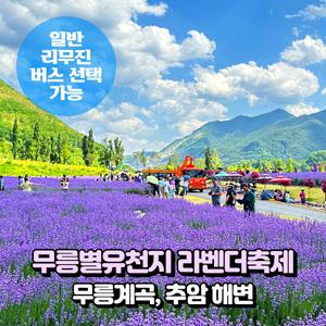 [강원] 동해 무릉별유천지 라벤더축제+무릉계곡+추암해변(출렁다리) 당일여행(일반/리무진)/서울경기出