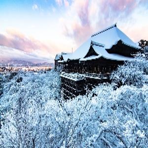 [4인이상 출발확정] 오사카/교토/나라 3일 +우지더하기 #식사ALL포함 #뵤도인 #나라정복 #동대사 #세계문화유산 #힐링사슴 #교토산책 #청수사 #오사카성공원 #미식여행