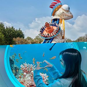 [제주] 해저와인과 함께하는 우도잠수함+신화테마파크 싱글라이드 (가볼만한곳/관광/제주투어/자유여행/가족/친구/연인/아이와함께/테마파크/이색체험/브이패스/액티비티/신화월드)