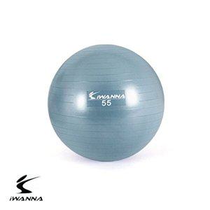 [베프몰]아이워너 NIBWFSYP 55cm 안티버스트 짐볼 더스티 블루